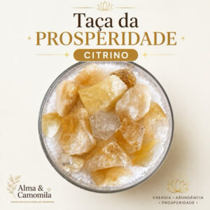 Taça da Prosperidade com Citrino Bruto Natural, Ponta de Cristal e Sal Grosso para Casa, Escritório e Altar